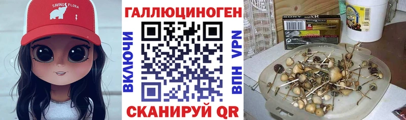 kraken рабочий сайт  Нововоронеж  Псилоцибиновые грибы Magic Shrooms 